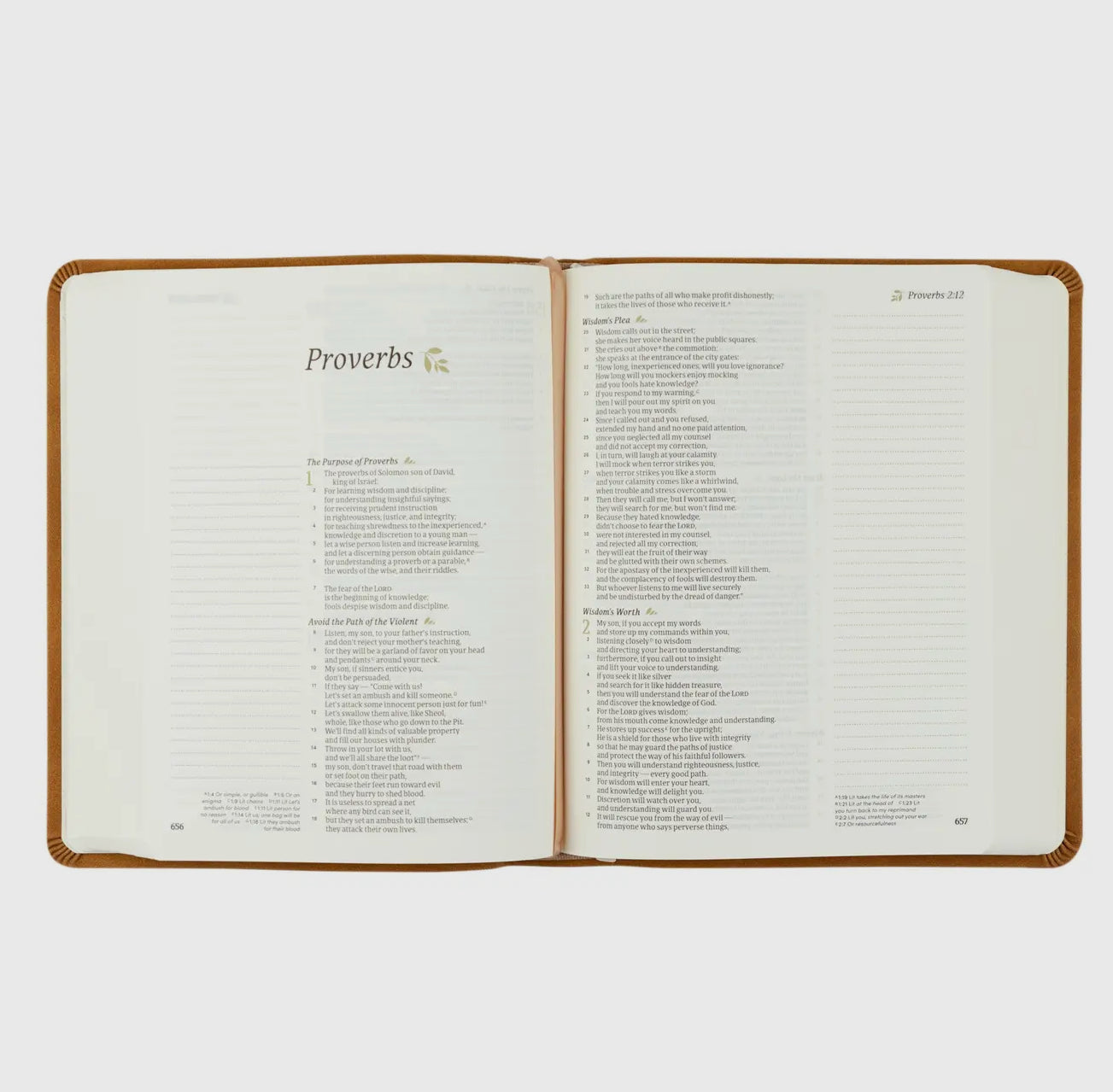 Csb Notetaking Bible