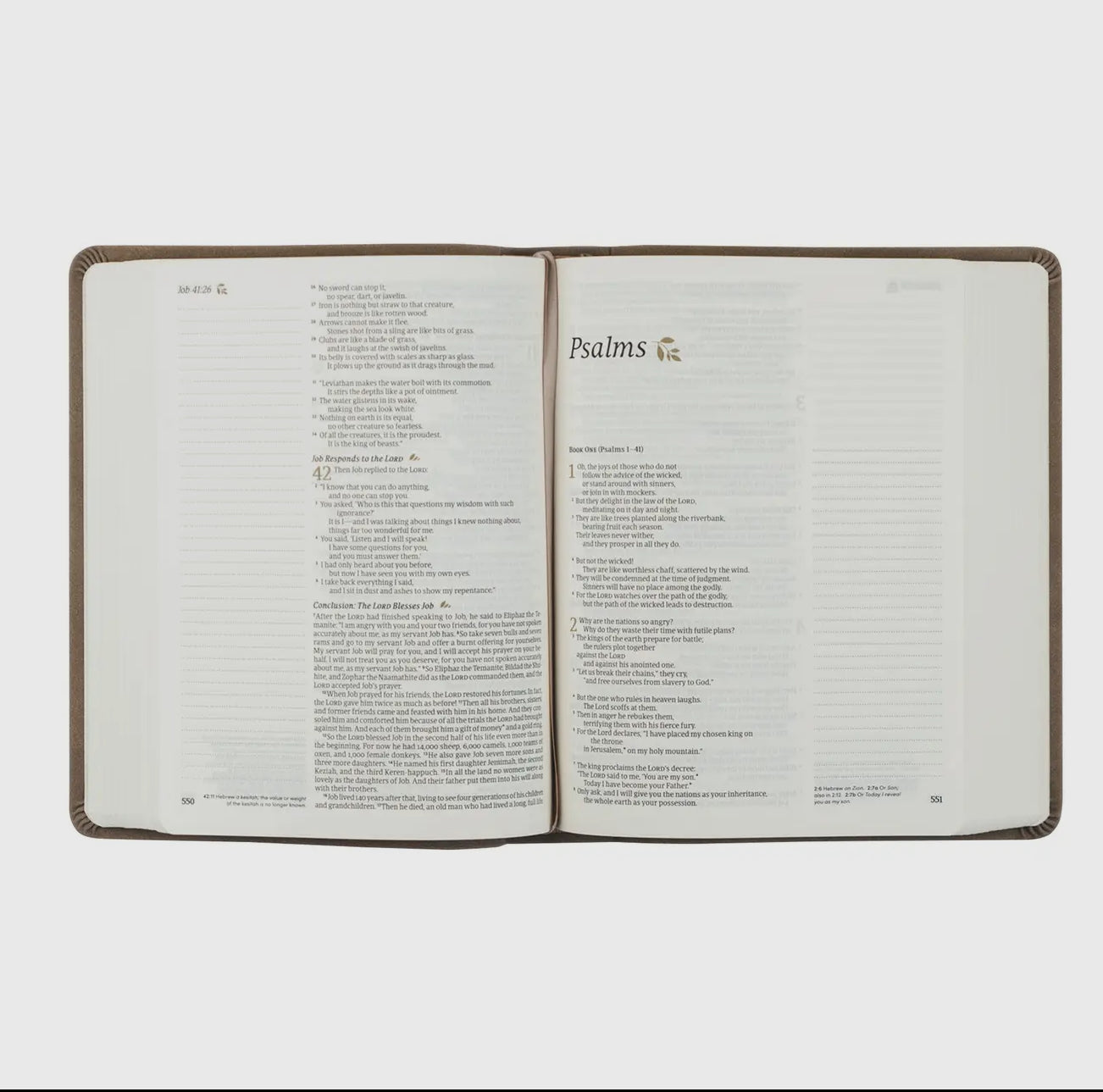 Nlt Notetaking Bible - Marlo Theme