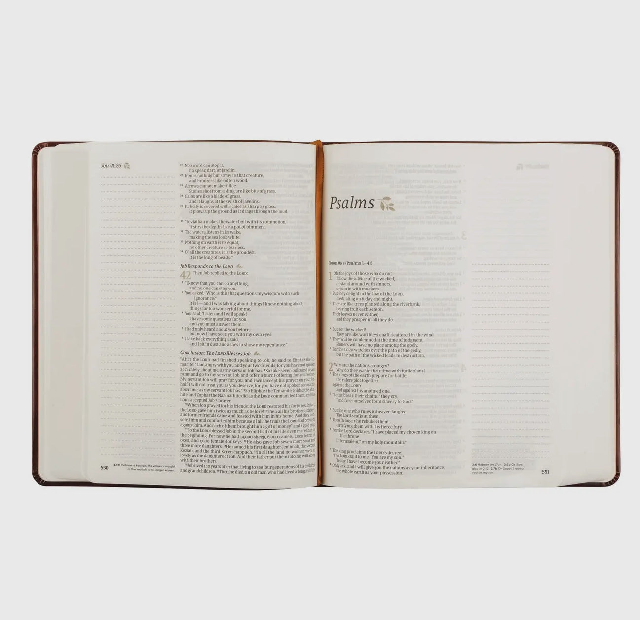 Nlt Notetaking Bible