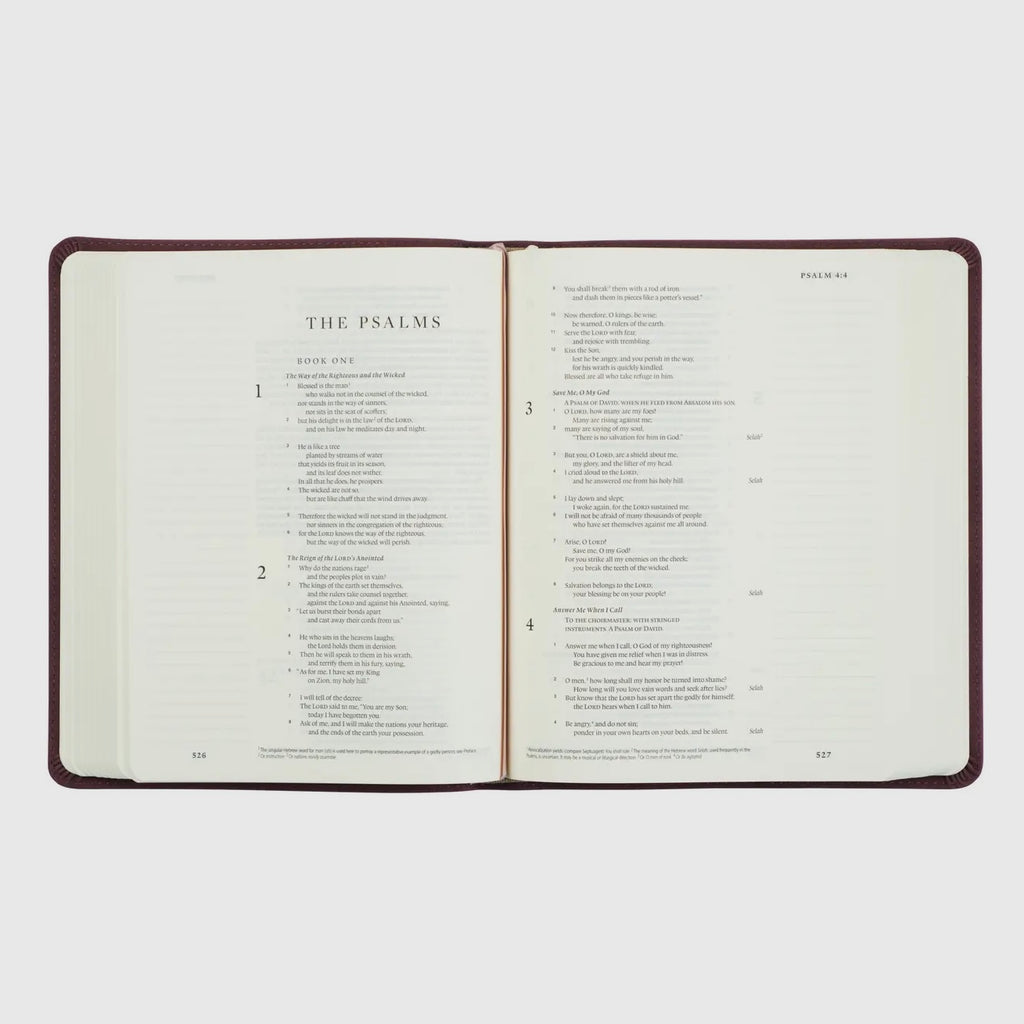 ESV Journaling Bible : Helena Theme