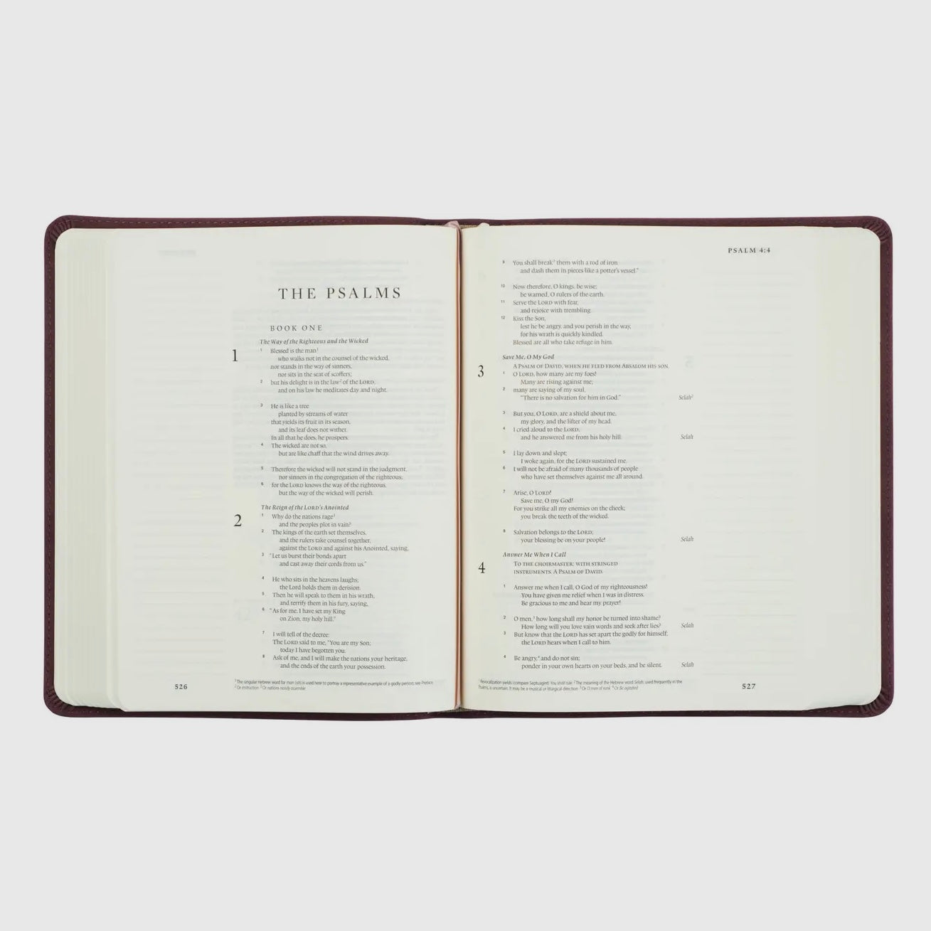 ESV Journaling Bible : Helena Theme