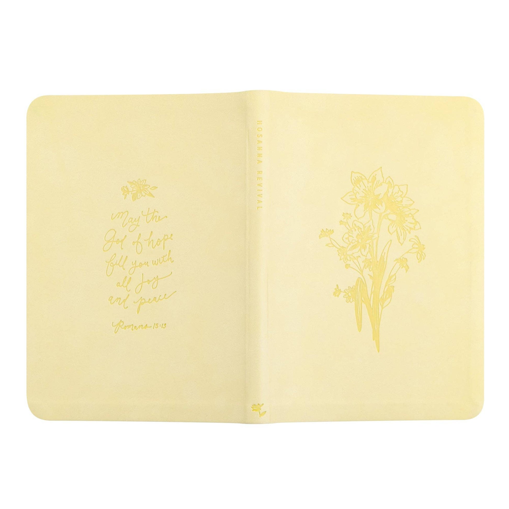 Notebook: Belfast Theme