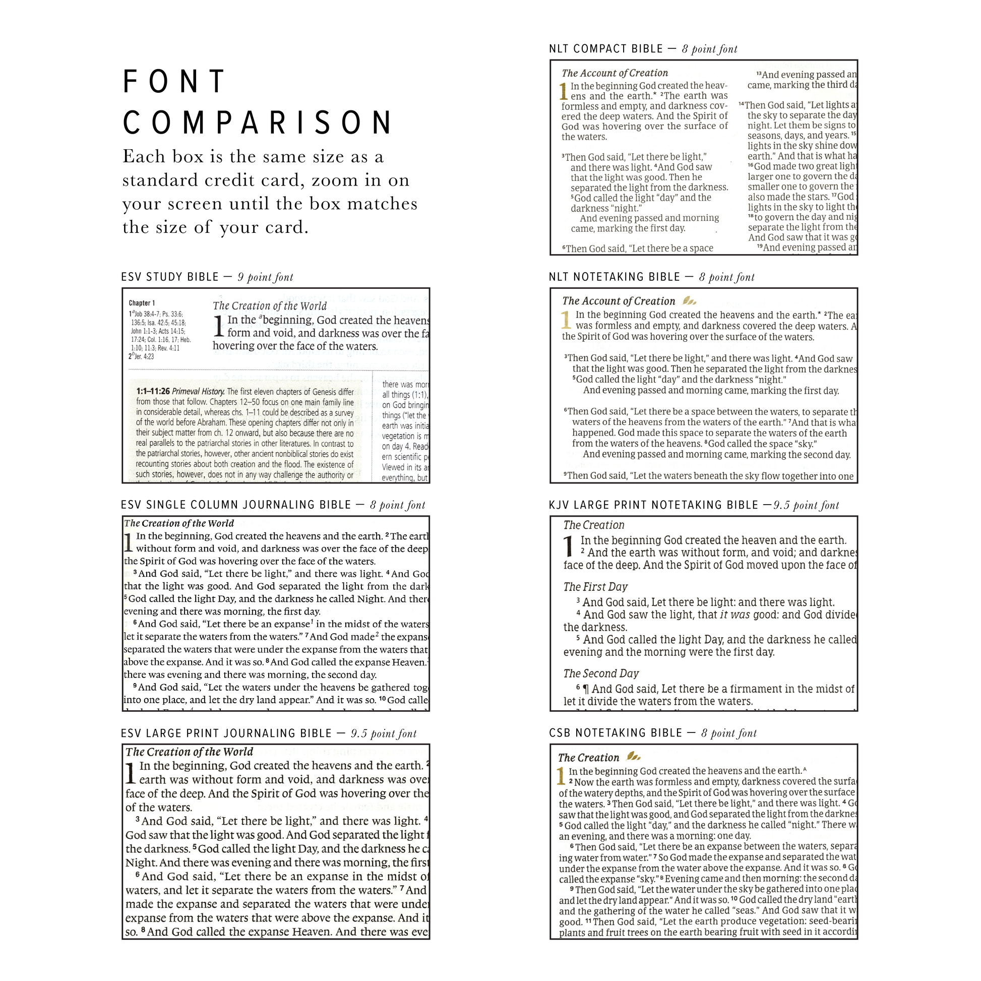 CSB Notetaking Bible: Rosedal Theme