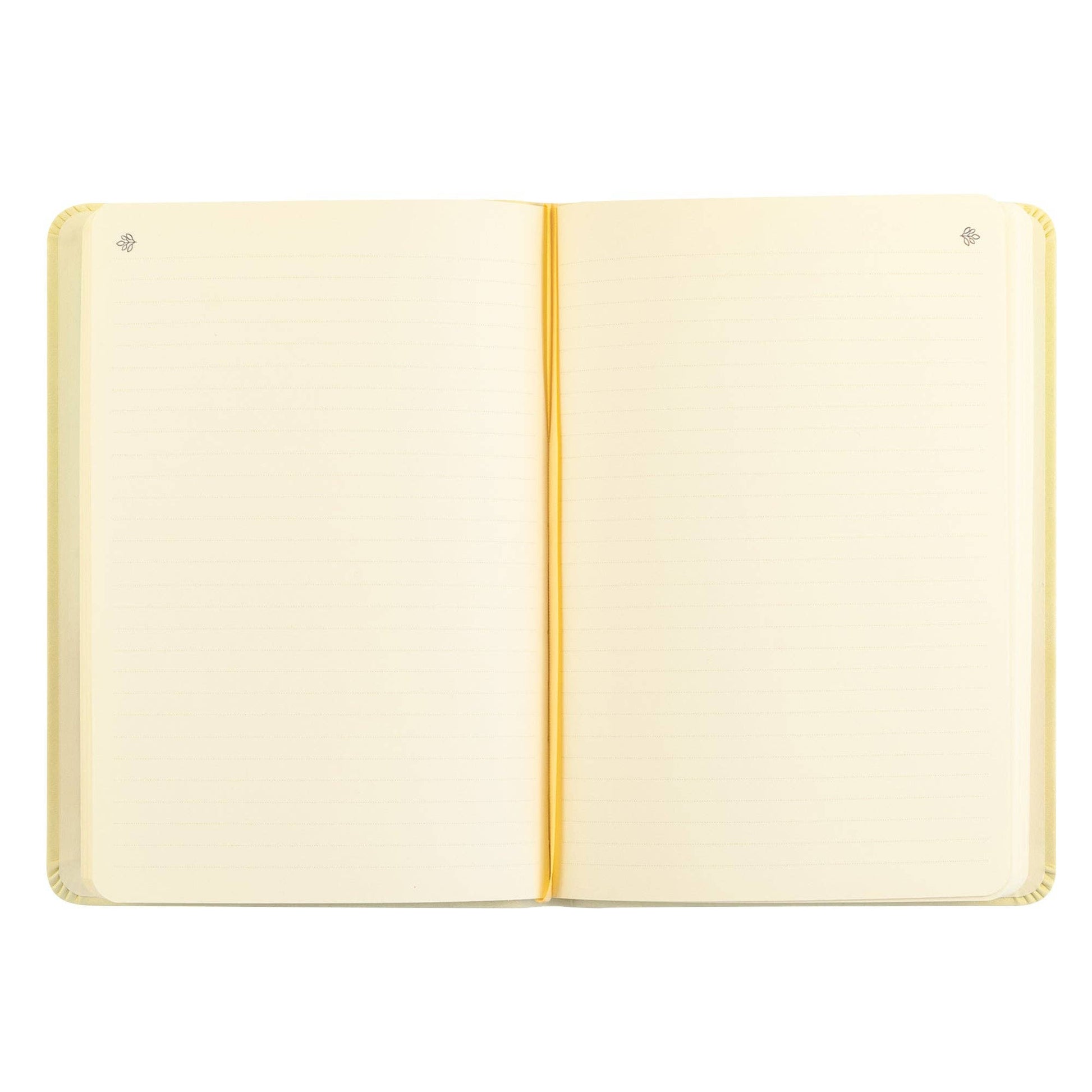 Notebook: Belfast Theme