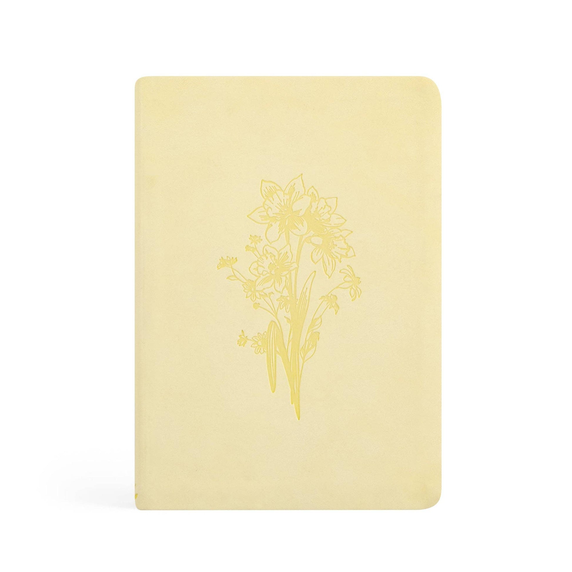 Notebook: Belfast Theme