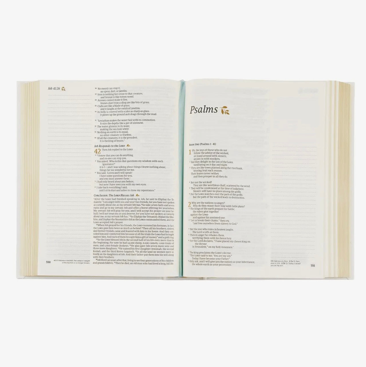 NLT Notetaking Bible: Lisbon Theme