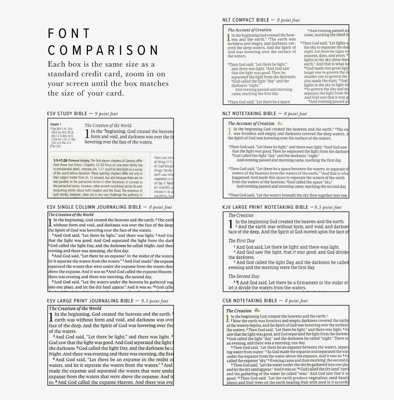 NLT Notetaking Bible: Lisbon Theme