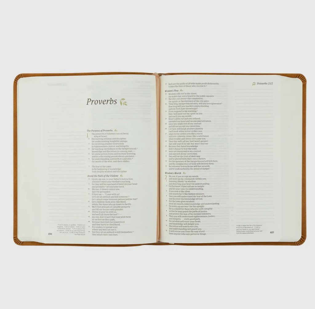 Csb Notetaking Bible