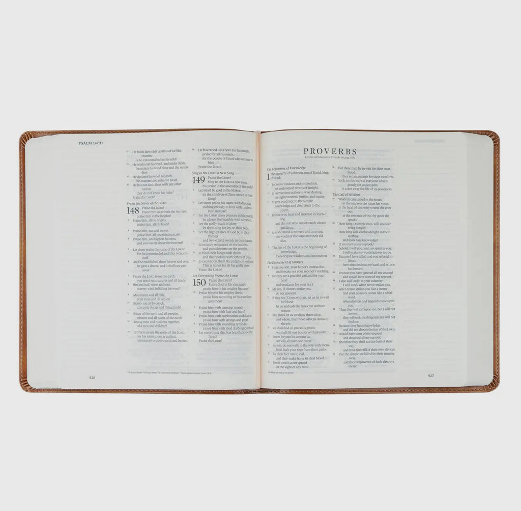 Esv Journaling Bible