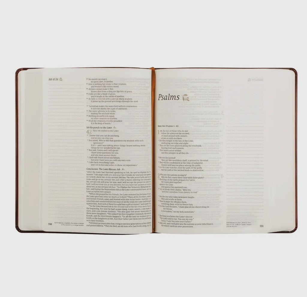 Nlt Notetaking Bible