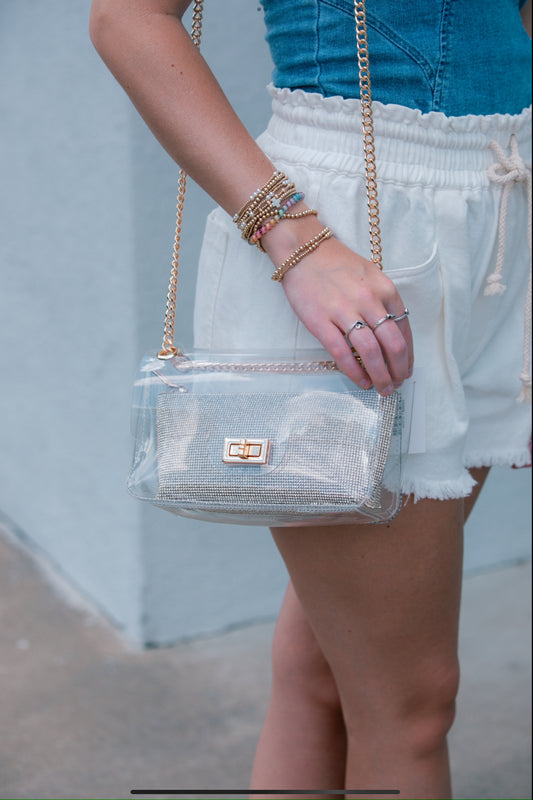 Pretty and Perfect Clear Bag