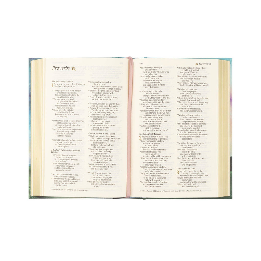 NLT Compact Bible: Prairie Theme