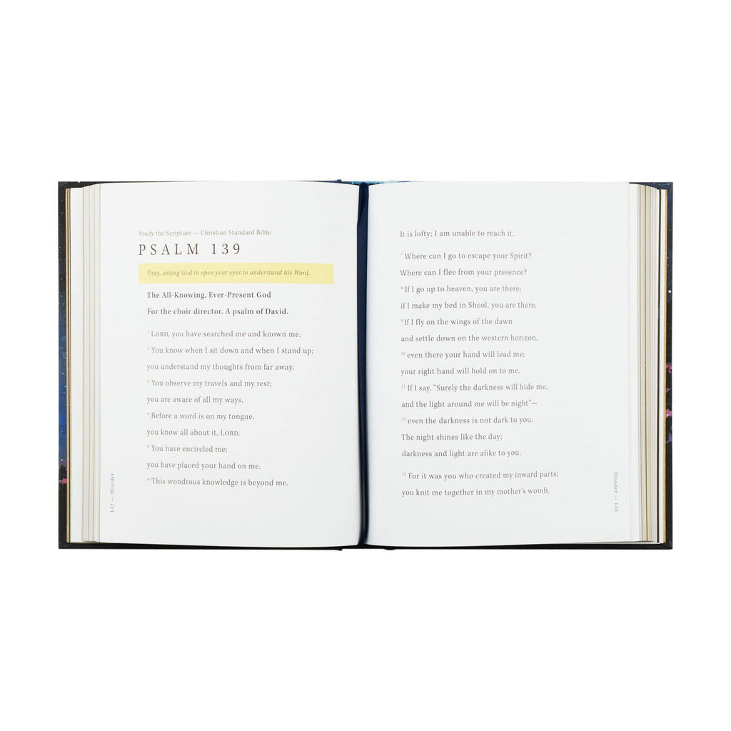Bible Study: Wonder by Alicia Hamilton