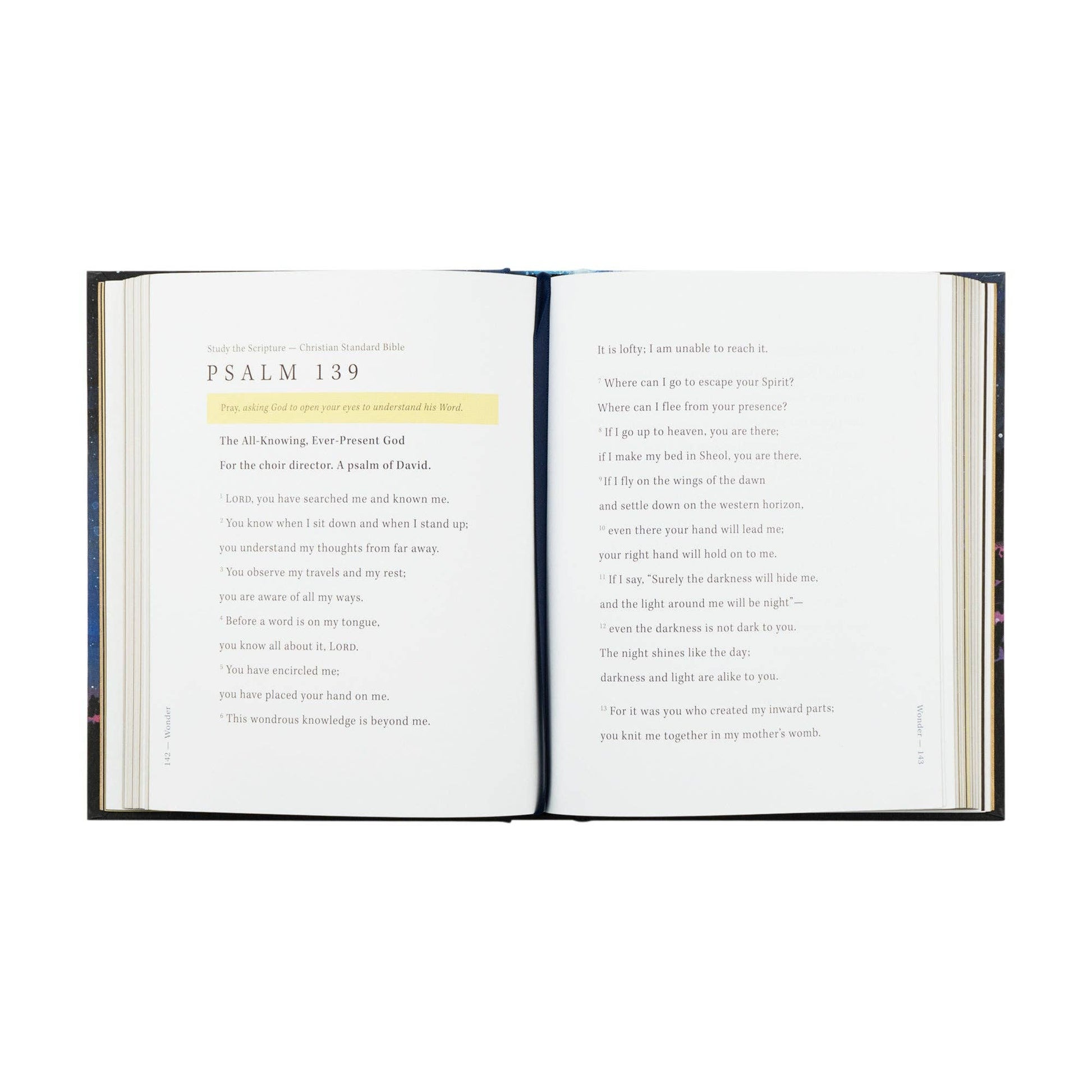 Bible Study: Wonder by Alicia Hamilton